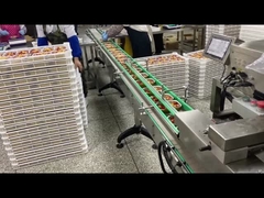 Stainless Steel Automatic Food Tray Filling Sealing Machine For Fast food aluminum foil tray